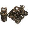 Valves, Springs